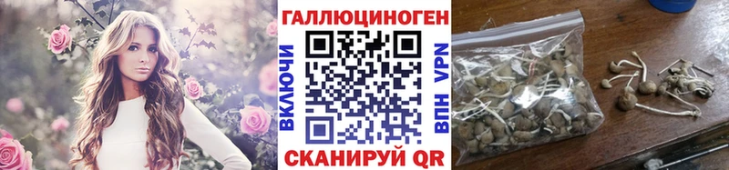 ОМГ ОМГ как зайти  Уссурийск  Псилоцибиновые грибы Psilocybine cubensis 